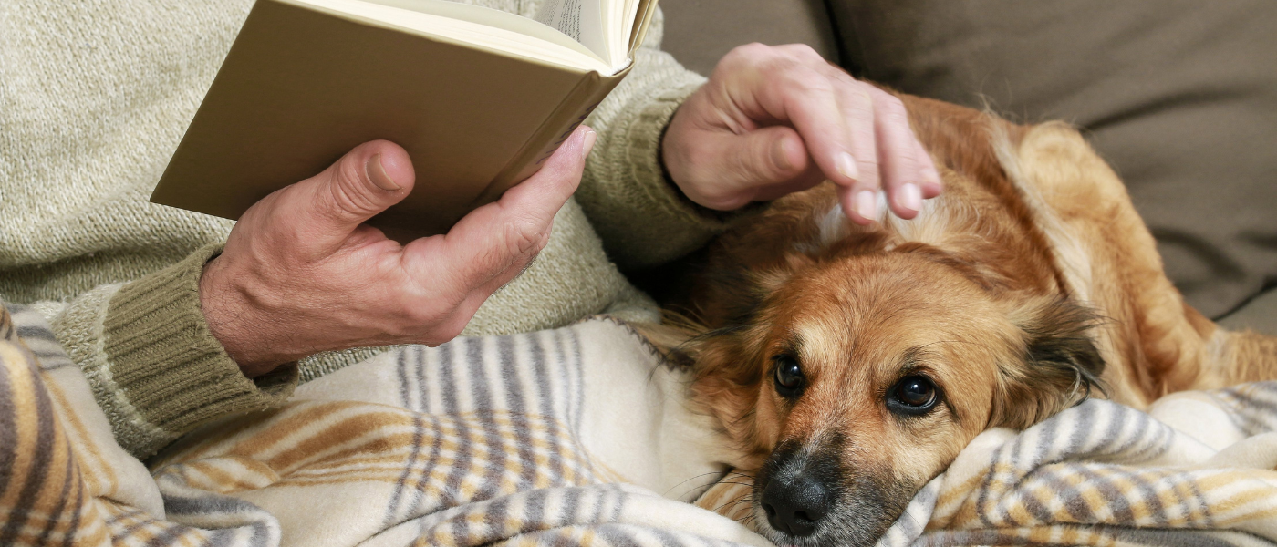 Why Pets Are Good For Seniors